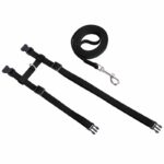 Orthopedic Nylon Harness For Cats