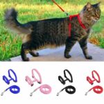 Orthopedic Nylon Harness For Cats 5