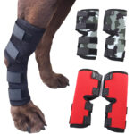 Orthopedic Bandage For Dogs Legs And Knees 6